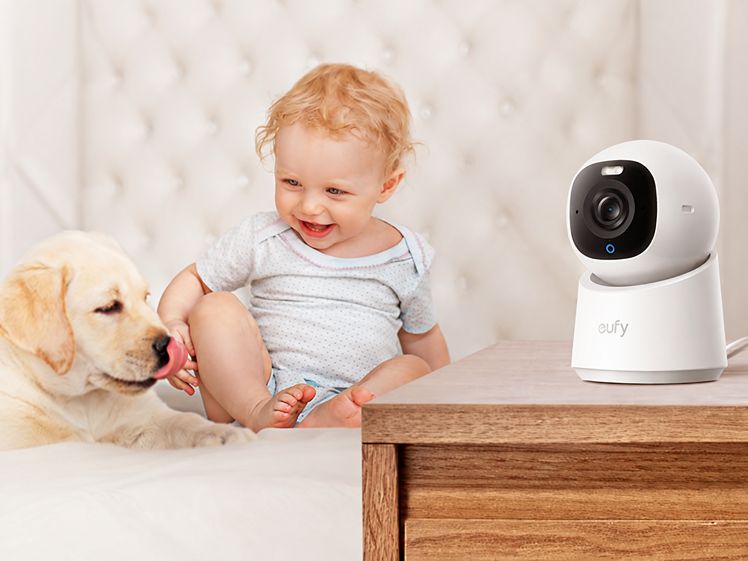 Caméra pour surveiller son chien