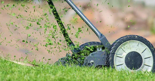 Tondeuse à gazon alimentée par batterie pour couper l'herbe