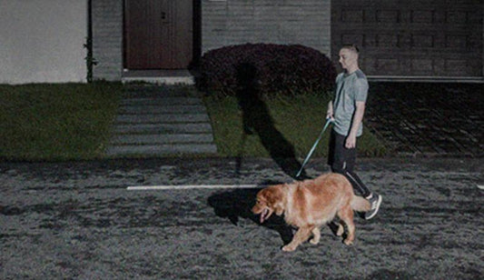 camera a projecteur solaire