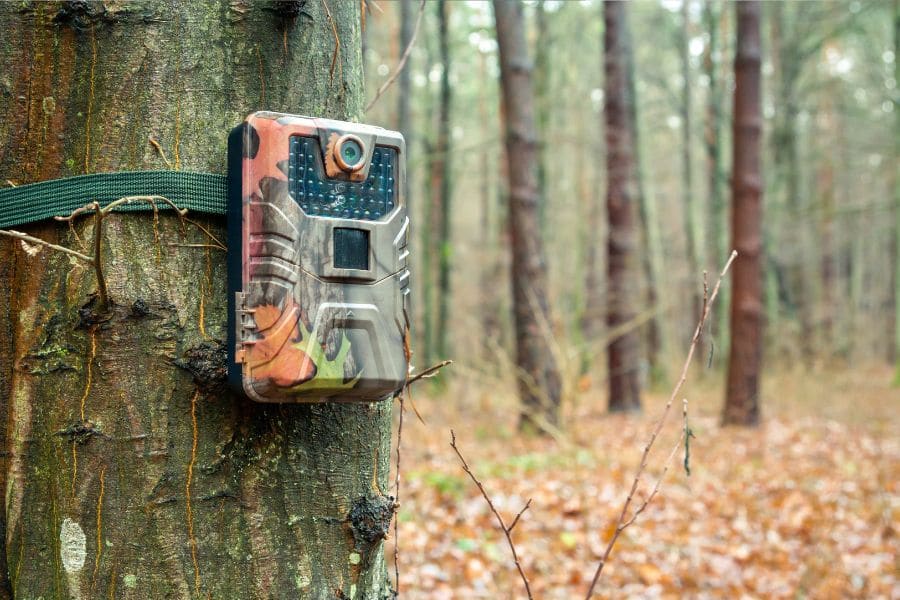 Guide essentiel pour la meilleure caméra faune sauvage en 2025