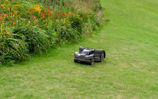 Comment trouver la tondeuse robot la moins chère