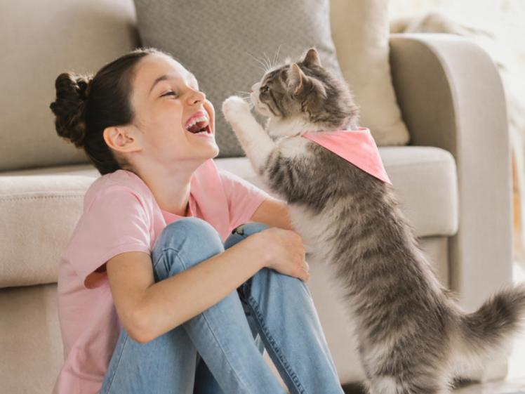 Garde de chat pendant les vacances