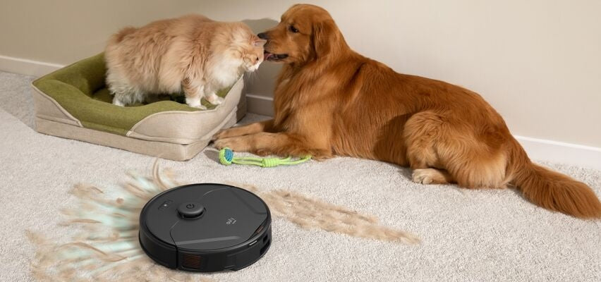 Découvrez le Meilleur Aspirateur pour Allergiques en 2025 : Guide Ultime pour les Souffrants d'Allergies