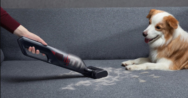 Découvrez le Meilleur Aspirateur Sans Fil pour Poils d'Animaux en 2026 pour Votre Maison