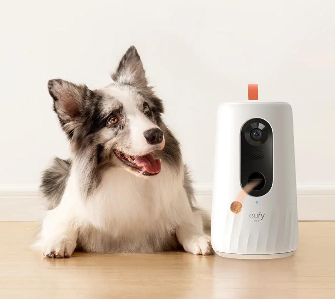 [Résolu] Quelle est la Meilleure caméra intérieure pour animaux ?