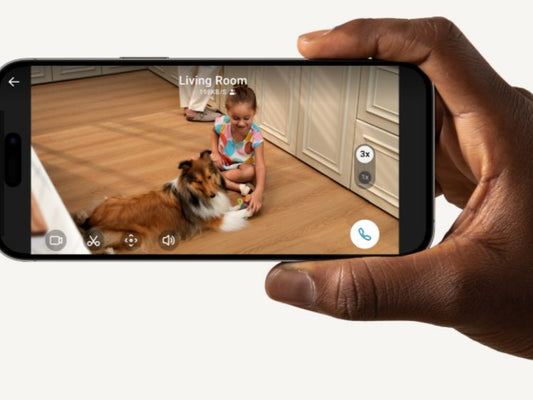Les meilleures caméras de surveillance pour animaux