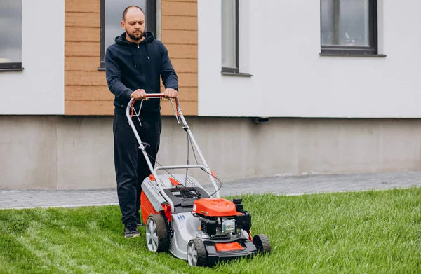 Tondeuse à gazon pour petit terrain